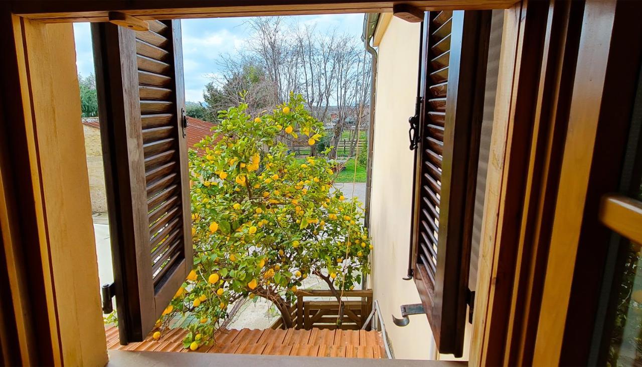 Agriturismo Barbadoro San Vincenzo Buitenkant foto